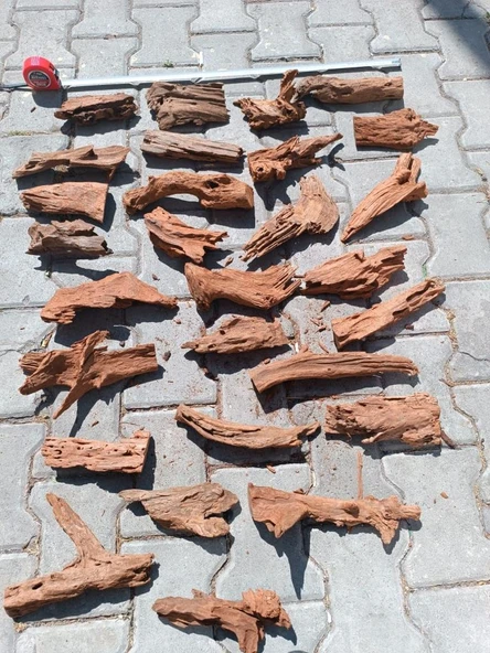 Mangrove Akvaryum Kütüğü S 18-25 cm - 3