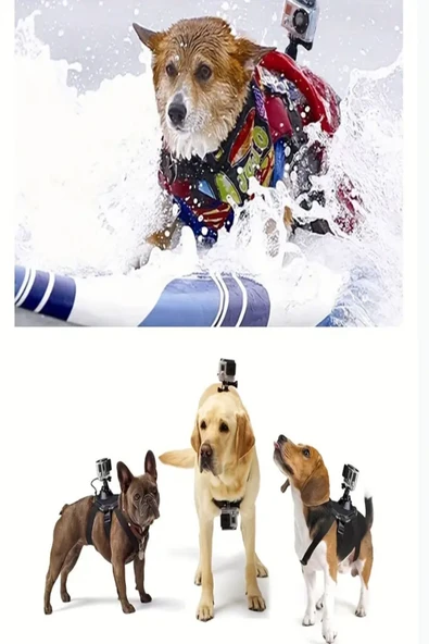 ULTRATEKNO GP197 Tüm Aksiyon Kameralara Uyumlu Köpek Montaj Kemeri Aksiyon Kamera Sabitleyici - Resim 7