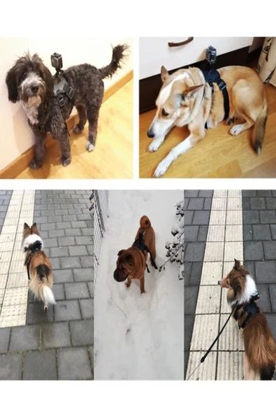 ULTRATEKNO GP197 Tüm Aksiyon Kameralara Uyumlu Köpek Montaj Kemeri Aksiyon Kamera Sabitleyici - Resim 4