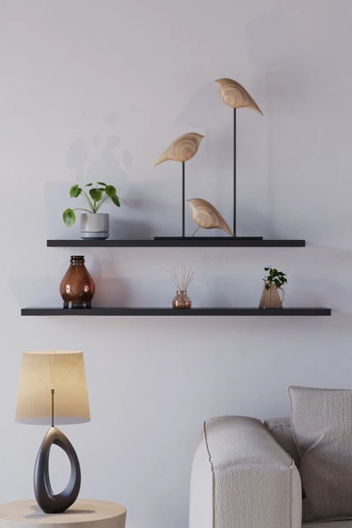 yankı-byeg 70 Cm 80 Cm Mdf 2li Mat Siyah Uçan Duvar Rafı Gizli Bağlantı Kitaplık - Resim 2