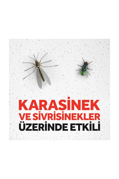 Raid Sinek Öldürücü Sprey, 300ml (SİVRİSİNEK VE KARASİNEKLERE KARŞI) - 2