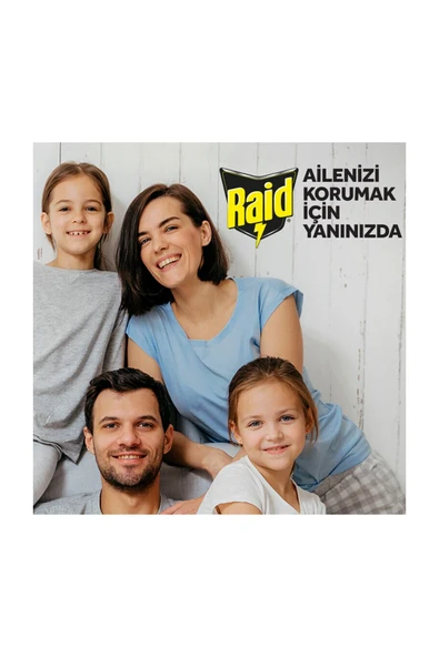 Raid Sinek Öldürücü Sprey, 300ml (SİVRİSİNEK VE KARASİNEKLERE KARŞI) - 4