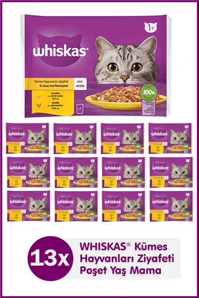 Whiskas Tavuklu ve Hindili Yetişkin Kedi Yaş Maması 4X85 gr (13 Paket,52 Adet Tekli) - 1