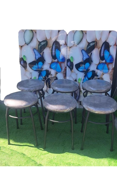 6'lı Tabure Statik Ayaklı - 3