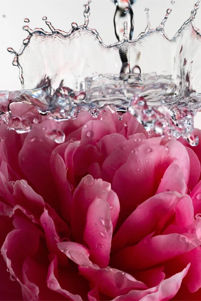 Athena Club Petal Bloom Alüminyumsuz Tüm Vücut Stick Deodorant 85GR - 5