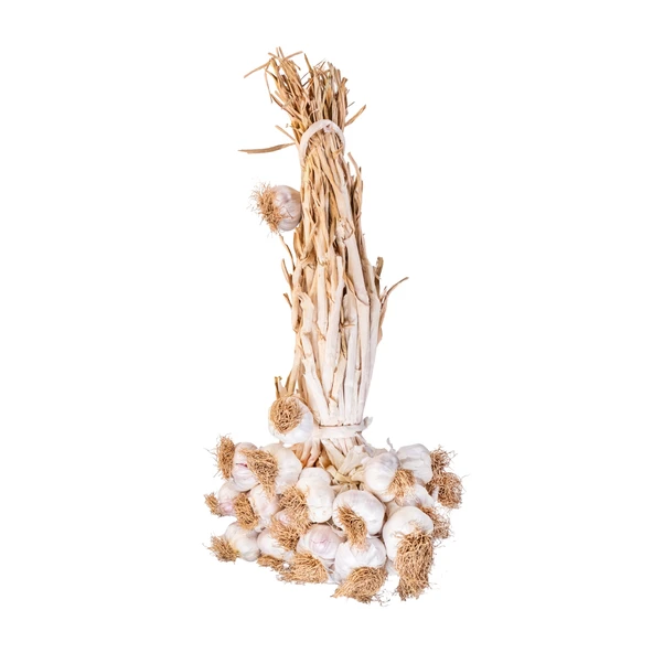 Taşköprü Sarımsağı Kg (Orta Boy) - 2