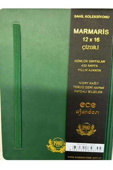 Ece Marmaris Çizgili Yeşil Günlük 12x16 2025 - Resim 2