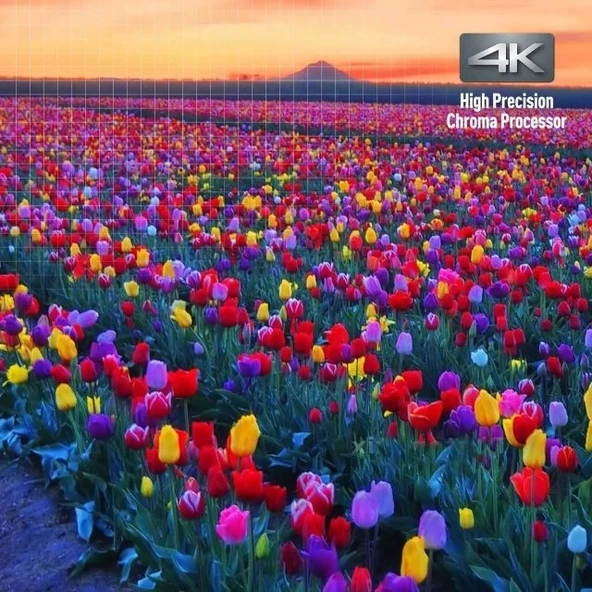 Panasonic Yayın 4K Blu Ray Oynatıcı DP-UB420-K - 10