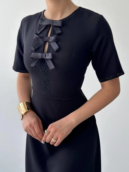 Wera Taşlı Fiyonk Detaylı Elbise - Resim 7