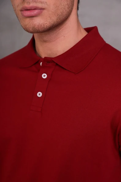 Erkek Slim Fit Pamuklu Yumuşak Doku Nefes Alan Kumaş Yakalı Tişört - Resim 5