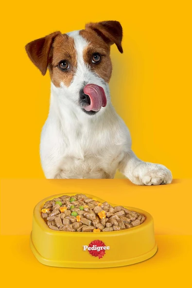 Markies Köpek Ödül Maması 150 G 5x - Resim 3