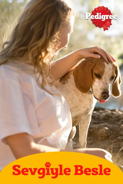 Biscrock Köpek Ödül Bisküvisi 200 G 6x - Resim 4