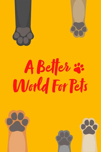 Markies Köpek Ödül Maması 150 G 5x - Resim 5