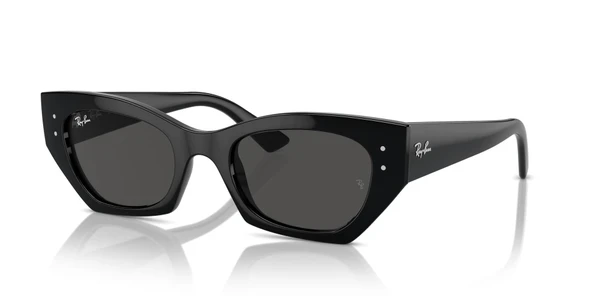 Ray-Ban 0RB4430 66778749  Enjeksiyon Unısex Güneş Gözlüğü - 1