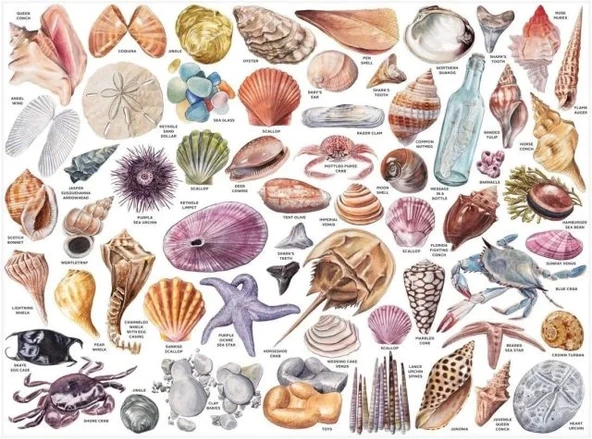 Galison Yetişkinler İçin Kitap Puzzle - 2