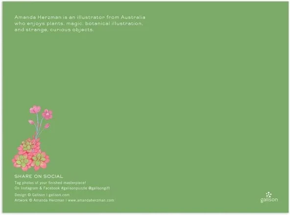 Galison Çöl Bitkileri Puzzle - Resim 4