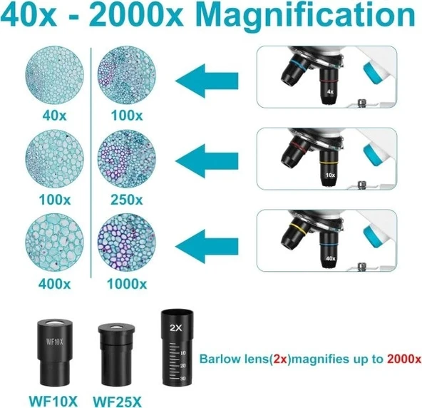 HSL 40X-2000X Bileşik Monoküler Mikroskop - Resim 2