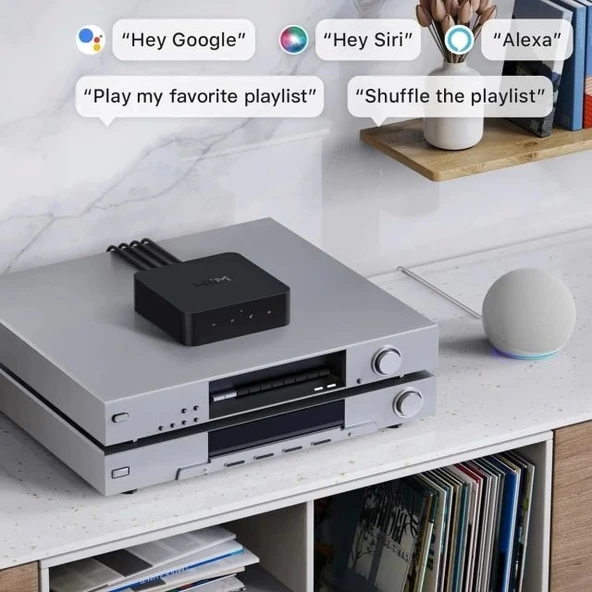 WiiM Pro AirPlay 2 - WiFi Çok Odalı Yayıncı Chromecast - Resim 2
