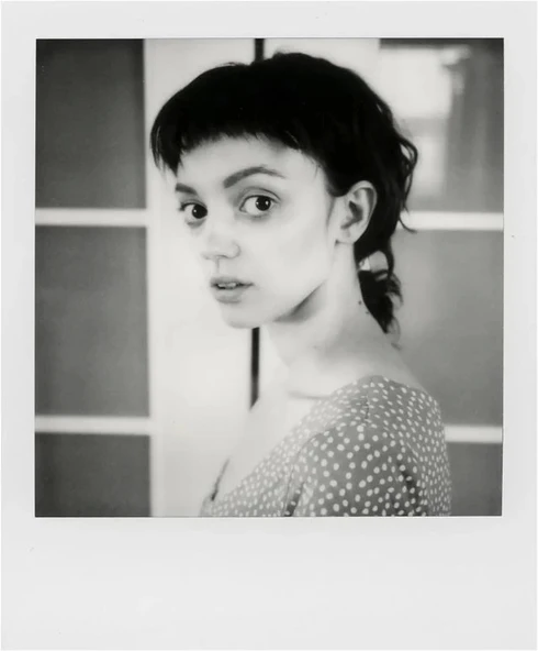 Polaroid SX-70 Renkli Film - 6004 - Resim 4