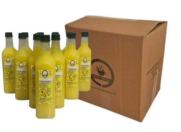 konsatre Limonata 1 koli 12 adet