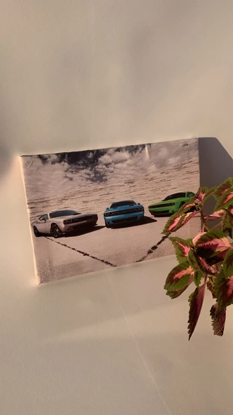 Mavi Yeşil Gri Araba Temalı Natürel Tasarım Ahşap Çerçeve Ev İşyeri Duvar Kanvas Tablo ARB8 - 4