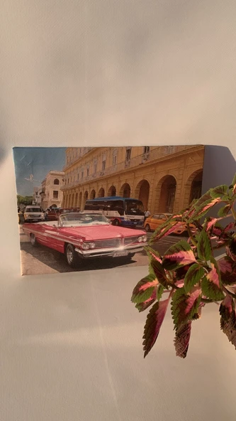 Pembe Araba Temalı Natürel Tasarım Ahşap Çerçeve Ev İşyeri Duvar Kanvas Tablo ARB9 - 4