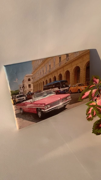 Pembe Araba Temalı Natürel Tasarım Ahşap Çerçeve Ev İşyeri Duvar Kanvas Tablo ARB9 - 3