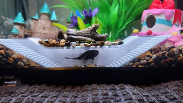 Akvaryum İçin Balık Mağarası Saklanma ve Üreme Alanı 15x3x3 cm Beyaz Renkli