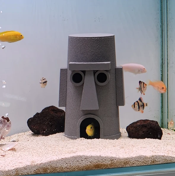 Squidward Balık Yuvası Akvaryum Aksesuarı  Sünger Bob Temalı Balık Evi