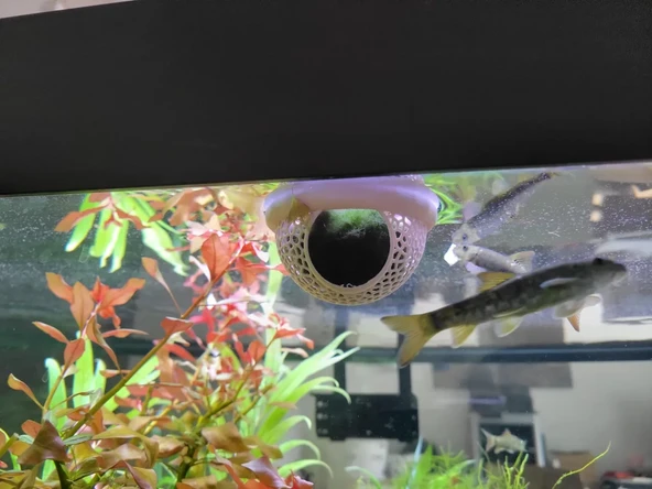 Akvaryum Için Yüzen Saklama Alanı Betta Balığı Için Gizlenme Kabı