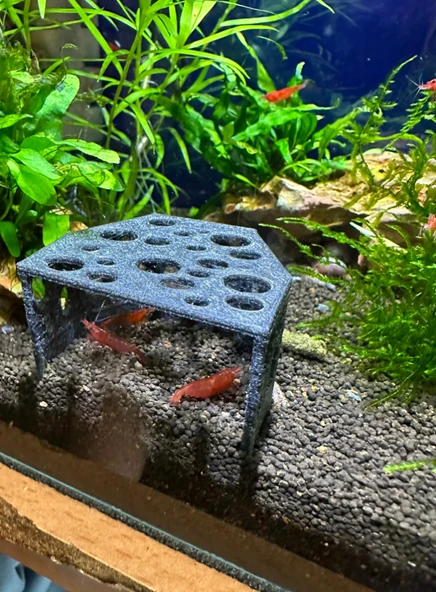 Karides Mağarası (GRİ RENKLİ) Karidesler Için Delikli Saklanma Alanı