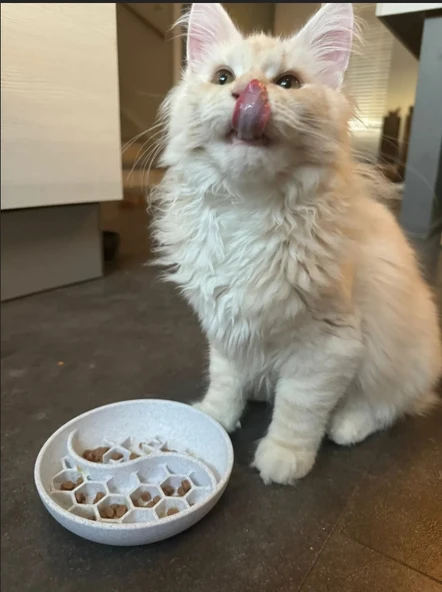 Kedi ve Köpekler İçin Yavaş Mama Kabı Eğlenceli Zeka Oyunu Tabak Slow Feeder Mama Kasesi