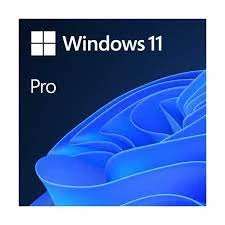 Windows 11 Pro Türkçe Oem (64 Bit) ürün görseli 1