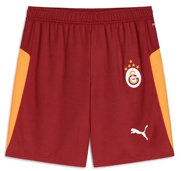 Galatasaray S.k. Shorts 25/26 İç Saha Parçalı Şort Erkek Futbol Şortu - Resim 10