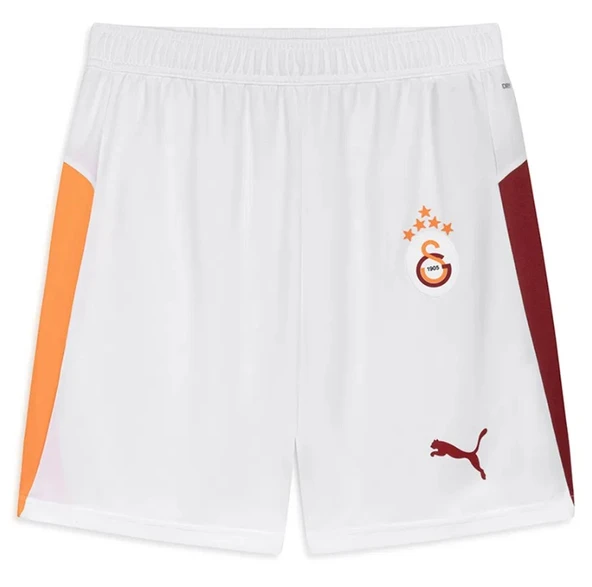 Galatasaray S.k. Shorts 25/26 İç Saha Parçalı Şort Erkek Futbol Şortu - Resim 4