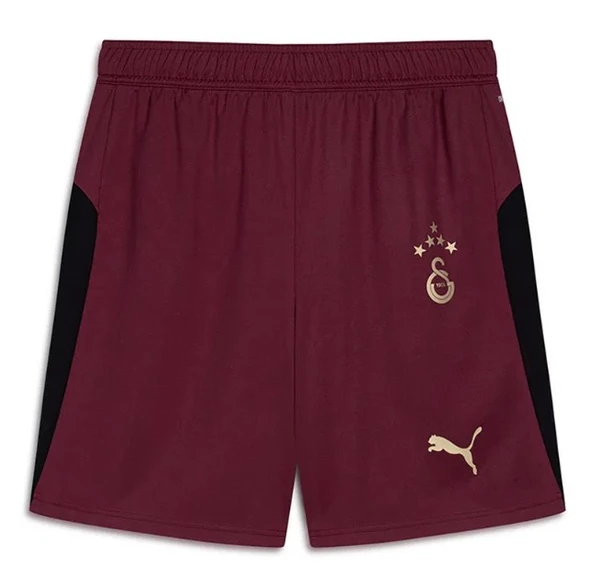 Galatasaray S.k. Shorts 25/26 İç Saha Parçalı Şort Erkek Futbol Şortu - Resim 3