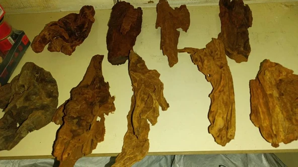 Mangrove Akvaryum Kütüğü M 17-25 cm ürün görseli