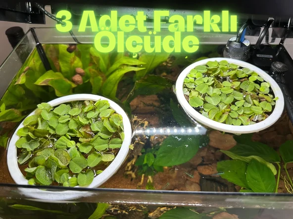 Akvaryum Yüzen Bitki ve Yem Halkası (3 adet) Balıklar için Yüzey Düzenleyici ve Işık Geçirgen Halka