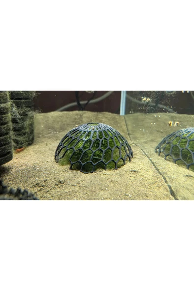 Moss Dome 2’li Yosun Kubbesi  1 Gri 1 Beyaz  Bitki Sabitleyici & Dekoratif Akvaryum Aparatı - 2