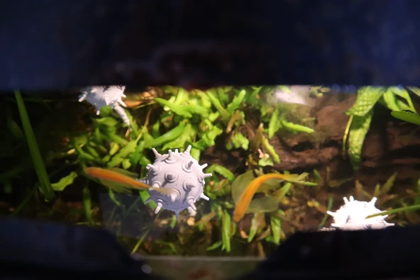 Yüzen Mayın Figürlü Akvaryum Dekoru Zincirli Tasarım Sıradışı ve Modern Balık Tankı Süsü - 2