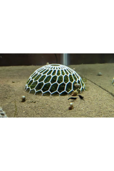 Moss Dome 2’li Yosun Kubbesi  1 Gri 1 Beyaz  Bitki Sabitleyici & Dekoratif Akvaryum Aparatı