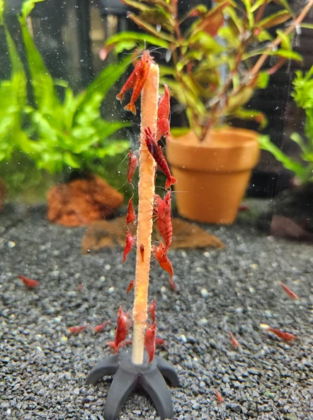 ( 5 Adet ) Siyah Renk Akvaryum Karides Barınağı Yıldız Formlu Dinlenme Ve Gizlenme Alanı - 2