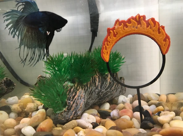 Alevli Yüzme Halkası (2 adet)  Akvaryum Balıkları İçin Oyuncak ve Dekoratif Geçiş Halkası