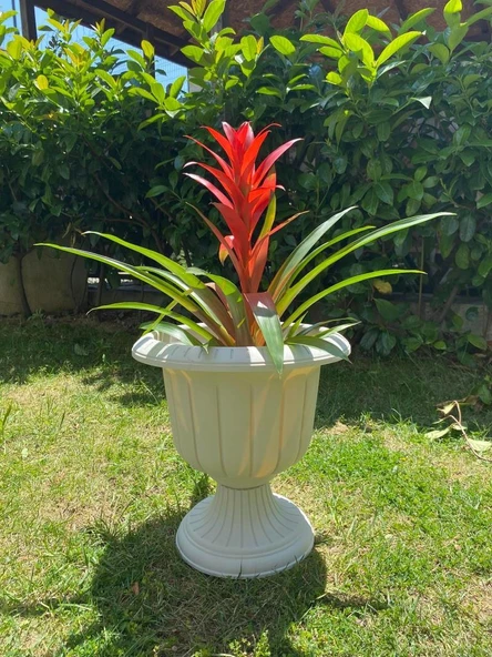 Omnipazar SO-N003 Nergiz Dekoratif Dış Mekan Saksı 47 lt Kirli Beyaz 3 Adet - 3