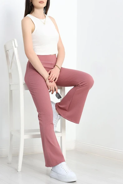 Fitilli İspanyol Tayt Gülkurusu - Resim 4