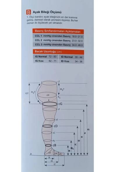 Luxor Dizüstü Burnu Kapalı Standart Basınç Hostes Çorabı - 3