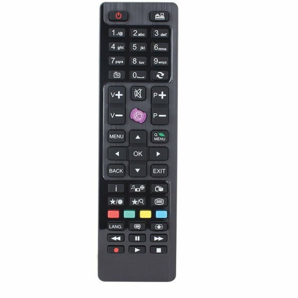 REGAL 32R4020H 32  UYDU ALICILI LED TV Kumandası
