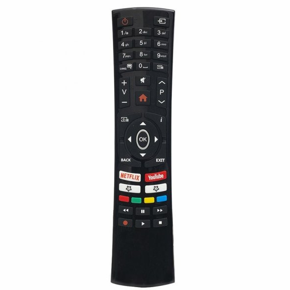 REGAL Uydu Alıcılı Smart LED Televizyon Kumandası