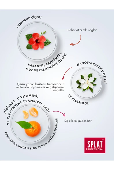 Splat Healthy Gums Diş Macunu 100 ml - 4