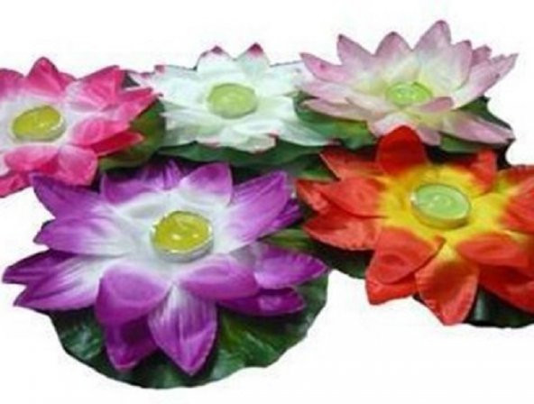 Nilüfer Su Çiçeği Havuz Su Feneri (Tealight Mumluk).5 Ad.(5 farklı renk) - 2